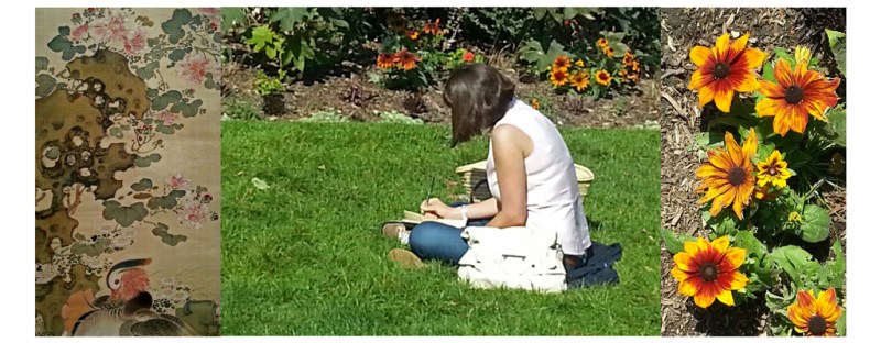 Exposition Le Japon au fil des saisons suivi par séance de essin au Parc Monceau